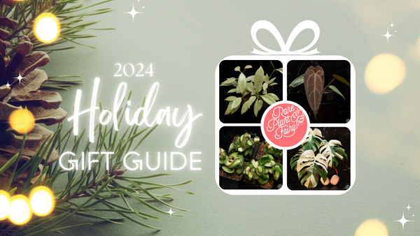 2024 Holiday Gift Guide🎁