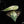 Load image into Gallery viewer, Alocasia watsoniana variegated (A38)
