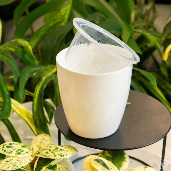 Self Watering Round Plastic Planter (4 pots per order)