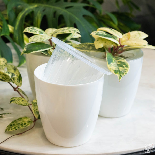 Self Watering Round Plastic Planter (4 pots per order)