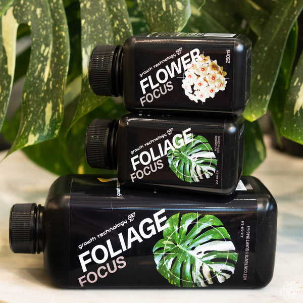 Foliage Focus Growth Technology GT