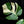 Load image into Gallery viewer, Monstera deliciosa mint variegated NOID (intermediate form) (G51)
