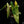 Load image into Gallery viewer, Philodendron billietiae variegated (A51)
