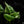 Load image into Gallery viewer, Syngonium godzilla *Grower&#39;s choice*
