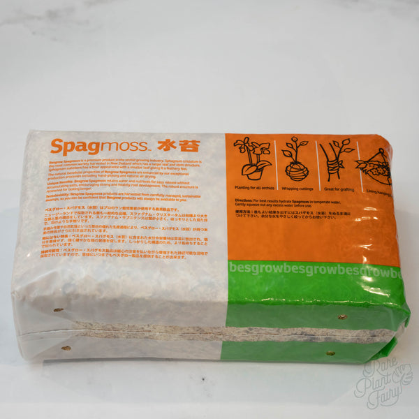 Besgrow Spagmoss 150g Premier New Zealand Sphagnum Moss